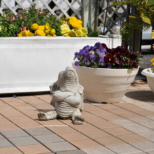 yzXg[yhSA@Gt@gzCObVK[f H23cm 4kgyK[fjOG݁zdu [bp p I[ig  u  CeAG 