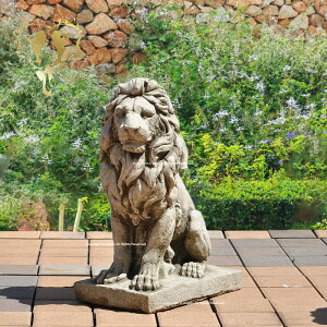 p Xg[uCI2ivcC[bpp ցAGgX₨₨܂GNXeA TCYH38cm W17cm D28cm 14kg  K[fjO K[fG English Sitti