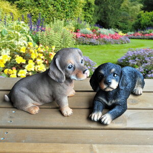 y~j`A_bNXthz  K[fjO K[f G I[ig 炪ȂƌĂq̃~j`A_bNXth2gZbg肵Ă܂B{Ɗ