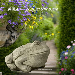pyutbO 20cmzEnglish Bull FrogyzXg[ K[fjOG݁yJGuz [bp p K[fjO K[f G I[ig  u  C