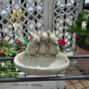 [yyVLO1ʊlzpyrbg{[z Xg[ W28cm 3.9kg  芴 3Ĉ CObVK[f K[fjOG I[ig [bp   