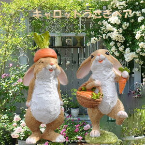 yzyyLbg2gz͂Ί炪yrbgB K[fjO K[f G I[ig MtgΉ  l킢G