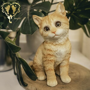  y钃gLzCAT@rO@ց@K[f G I[ig u  o}  WooBia