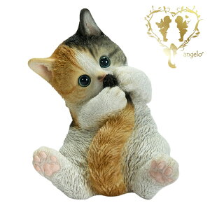  yۂŗVԎOєLz CAT@rO ց@K[f G I[ig u  o}  WooBia