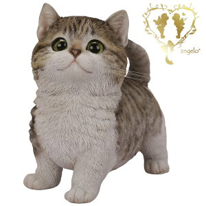  y}`J@Togz CAT rO@ ց@K[f G I[ig u  o}  WooBia