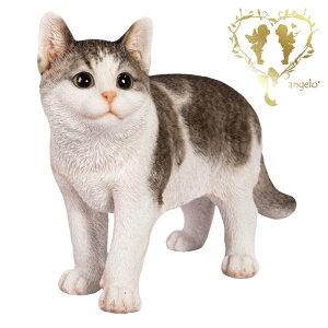  yTogLz CAT@{ ց@K[f G I[ig u  o}  WooBia