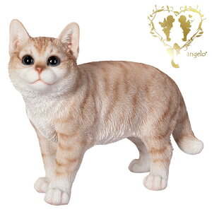  y~NeB[LzgL@~NeBF@rO@ց@K[f G I[ig u  o}  WooBia