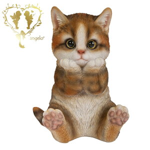  yjLWgLz CAT@ rO@ց@K[f G I[ig u  o}  WooBia