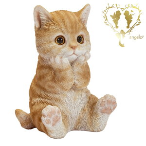 yjgLzCAT@rO@ց@K[f G I[ig u  o}  WooBia