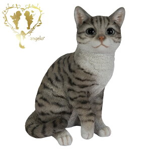 yTogLz CAT@rOA ց@K[f G I[ig u  o}  WooBia