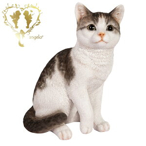  yTogLijz CAT@rOA ց@K[f G I[ig u  o}  WooBia
