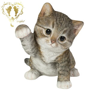 yLp`TogLz CAT@rOA ց@K[f G I[ig u  o}  WooBia