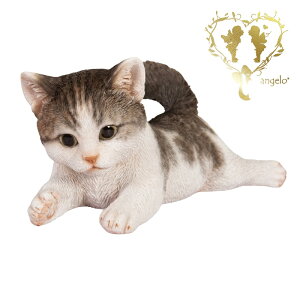  yVԃTogqLz CAT@rOA ց@K[f G I[ig u  o}  WooBia