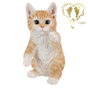  ygLzCAT@rO@ց@K[f G I[ig u  o}  WooBia