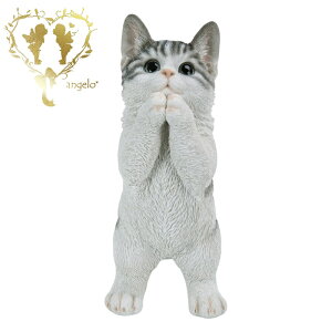  y˂TogLz CAT@rOA ց@K[f G I[ig u  o}  WooBia