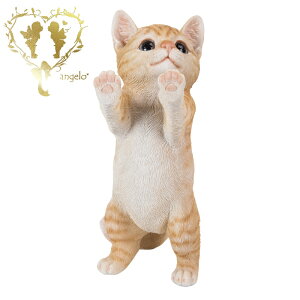  yグ钃gLzCAT@rO@ց@K[f G I[ig u  o}  WooBia