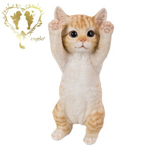  y΂񂴁[gLzCAT@rO@ց@K[f G I[ig u  o}  WooBia
