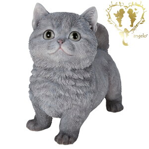  y}`J@O[z CAT rO@ ց@K[f G I[ig u  o}  WooBia