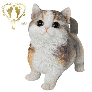  y}`J@z CAT rO@ ց@K[f G I[ig u  o}  WooBia