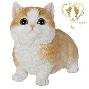  y}`J@Ԃz CAT rO@ ց@K[f G I[ig u  o}  WooBia