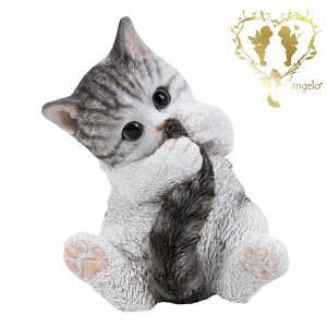 yۂŗVԃTogLz CAT@rOA ց@K[f G I[ig u  o}  WooBia