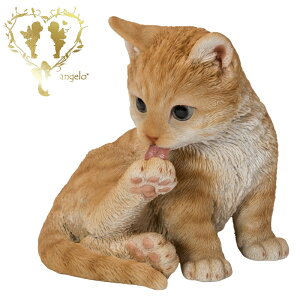  y둫Ȃ߂钃gLzCAT@rO@ց@K[f G I[ig u  o}  WooBia