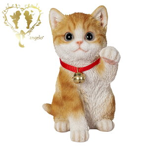  yグ钃gLzCAT@rO@ց@K[f G I[ig u  o}  WooBia