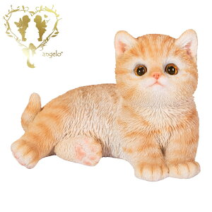  ygLzCAT@rO@ց@K[f G I[ig u  o}  WooBia