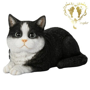 ySi|Cg5{z yQׂn`L z CAT@rO ց@K[f G I[ig u  o}  WooBia