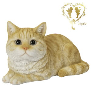  yQׂ钃gLzCAT@rO@ց@K[f G I[ig u  o}  WooBia