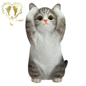  yTogLz CAT@rOA ց@K[f G I[ig u  o}  WooBia