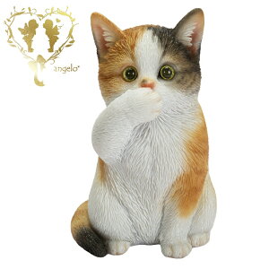  y킴OєLz CAT@rO ց@K[f G I[ig u  o}  WooBia