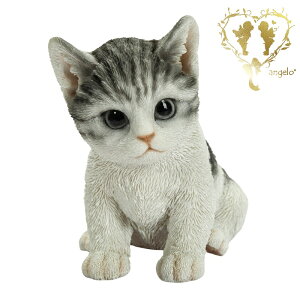  yTogLz CAT@rOA ց@K[f G I[ig u  o}  WooBia