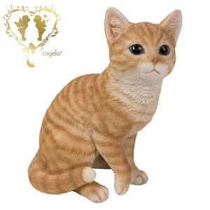  y蒃gLijzCAT@rO@ց@K[f G I[ig u  o}  WooBia