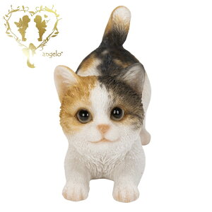  yOєLijz CAT@rO ց@K[f G I[ig u  o}  WooBia