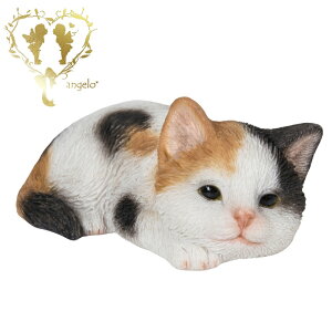  yԂOєLz CAT@rO ց@K[f G I[ig u  o}  WooBia