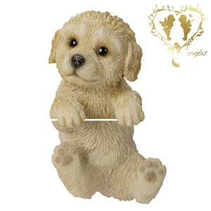 �y���������z�y������ �v�[�h���z ���r���O�A���� �K�[�f�j���O ������� �C���e���A�u���y�M�t�g�Ή��z���ʎG�݁y�����y�z ���������� ��l���킢���G�݁@WooBia