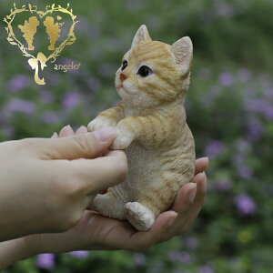  y gLzCAT@rO@ց@K[f G I[ig u  o}  WooBia