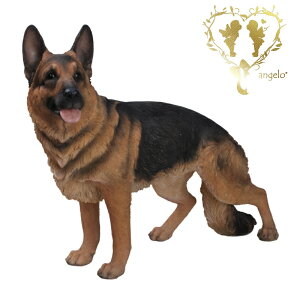 y~܂ W[} VFp[hijz@{  hbO u@K[fjO GgX rO  CeAu EGJ o}@Woobia