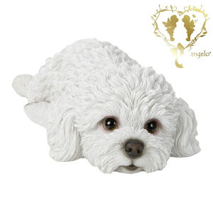 @yԂgCv[hz4F̒炨IщB@{  hbO u@K[fjO GgX rO  CeAu EGJ o}@Woobia