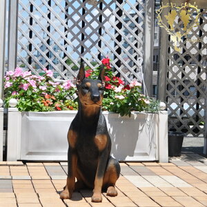 yh[x} ijz@{  hbO u@K[fjO GgX rO  CeAu EGJ o}@Woobia