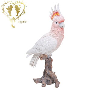 @y؂芔ɂƂ܂IJCR Ԕzu  K[fjO K[f G I[ig  u MtgΉ y  l킢G Woobia