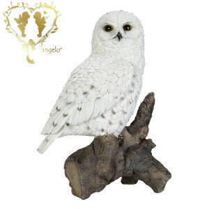 @y؂芔ɂƂ܂郆L^Jzu  K[fjO K[f G I[ig  u MtgΉ y  l킢G Woobia