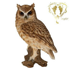 @y؂芔ɂƂ܂XsbNXRmnYNzu  K[fjO K[f G I[ig  u MtgΉ y  l킢G Woobia