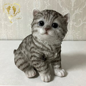 yAJV[gwA̎qz@ǉ@{  hbO u@K[fjO GgX rO  CeAu EGJ o}@Woobia