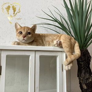  傫ȃTCYŁy_[NrXPbgLz @CAT@{ Ԃ牺Q̈i I[ig u  o}  WooBia