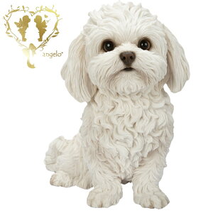 @{傫ȁy}`[YzD፷@nCNIeBŁ@  hbO u@K[fjO GgX rO  CeAu EGJ o}