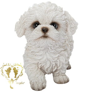 y}`[Y zĉ@{  hbO u@K[fjO GgX rO  CeAu EGJ o}@Woobia