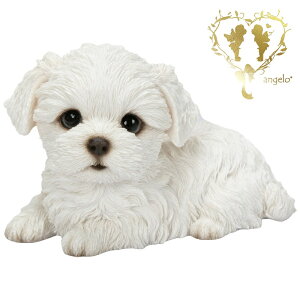 ybNX}`[Yzĉ@{  hbO u@K[fjO GgX rO  CeAu EGJ o}@Woobia