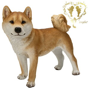 @{傫ȁyɗČijznCNIeB[@₳፷ u@K[fjO GgX rO  CeAu EGJ o}@